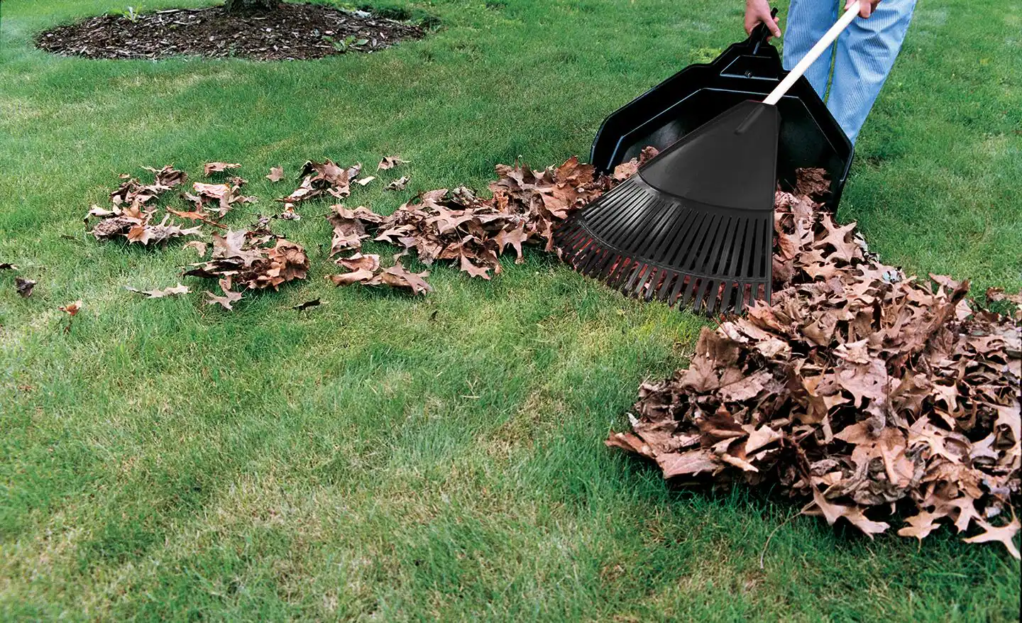 Garden/Backyard Cleaning Service