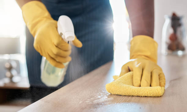 Cleaning Service Image 1